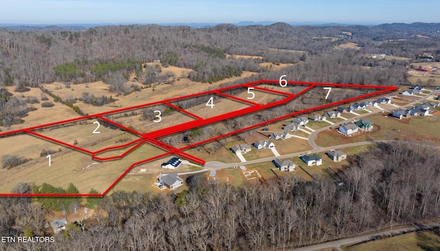 836 Franklin Xing, Maryville, TN 37804 - photo 29