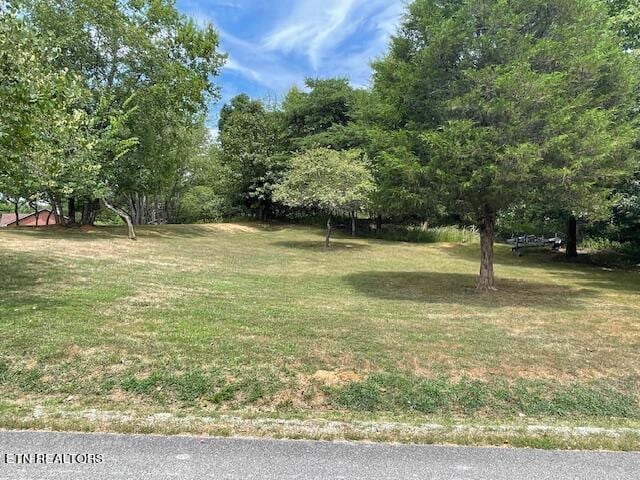 LOT51 Cherokee Cir, Ten Mile, TN 37880 - photo 1