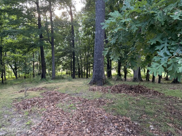Stonehenge Way, Dandridge, TN 37725