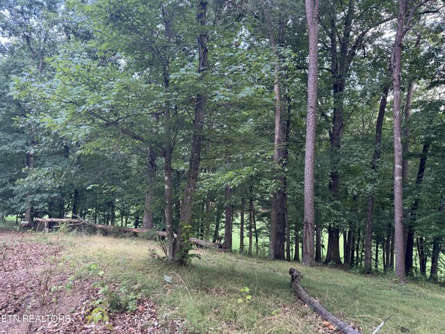 Stonehenge Way, Dandridge, TN 37725