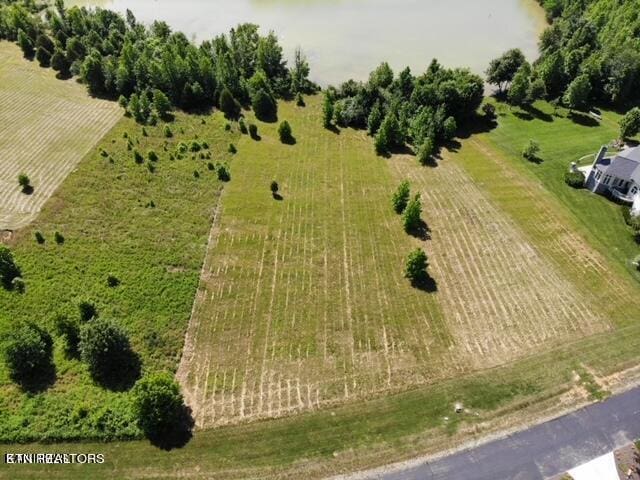 Pointe Vista Dr, Rockwood TN, 37854 land for sale