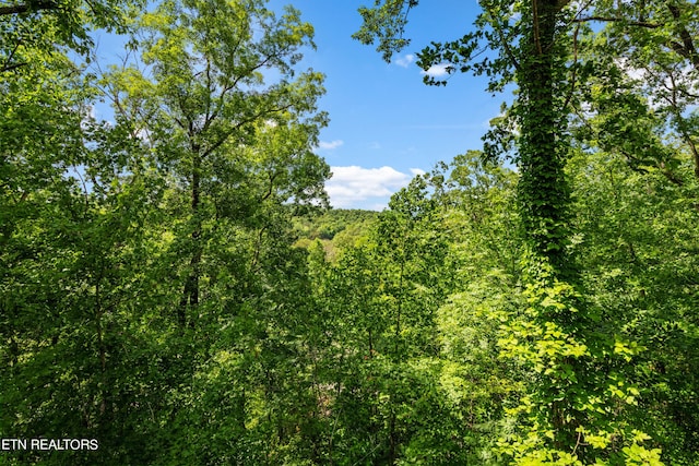 view of local wilderness