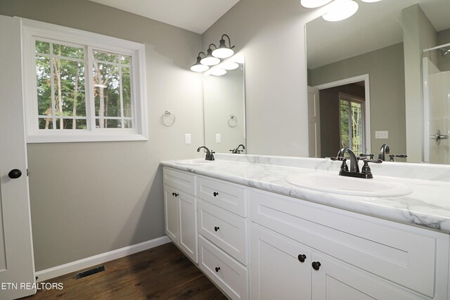 bathroom with a healthy amount of sunlight, hardwood / wood-style flooring, and double vanity