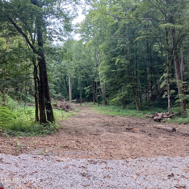 Listing photo 3 for 71.40AC Bunch Hollow Rd, New Tazewell TN 37825