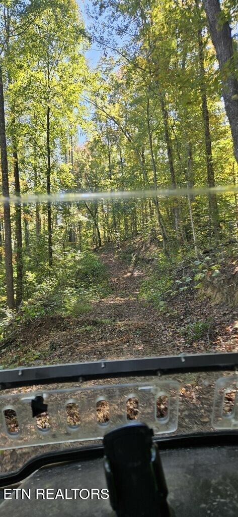 71.40AC Bunch Hollow Rd, New Tazewell, TN 37825 - photo 32