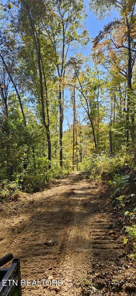 71.40AC Bunch Hollow Rd, New Tazewell, TN 37825 - photo 5