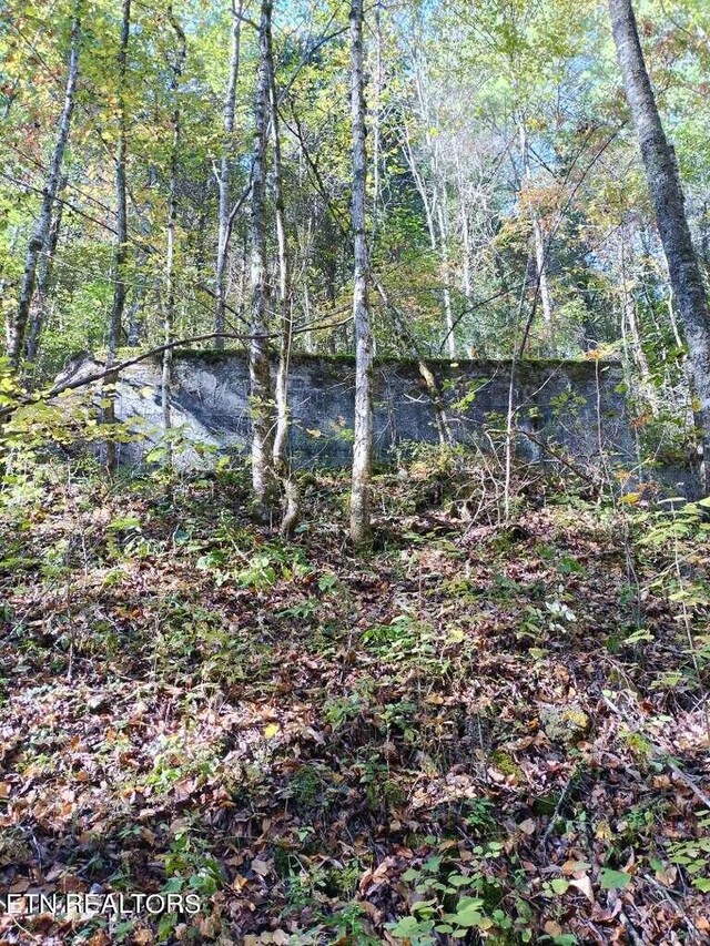 71.40AC Bunch Hollow Rd, New Tazewell, TN 37825 - photo 37