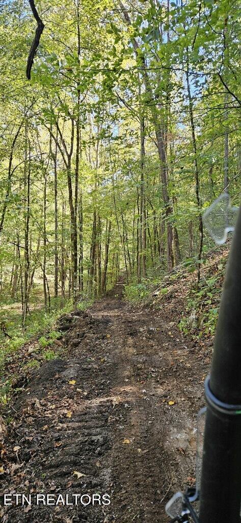 71.40AC Bunch Hollow Rd, New Tazewell, TN 37825 - photo 16