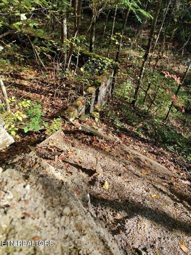 71.40AC Bunch Hollow Rd, New Tazewell, TN 37825 - photo 39