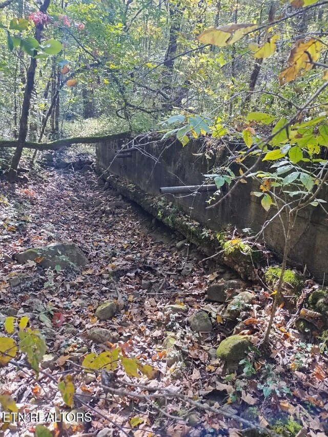71.40AC Bunch Hollow Rd, New Tazewell, TN 37825 - photo 41
