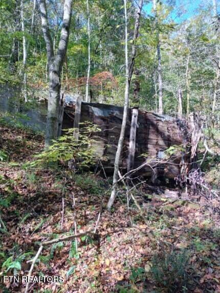 71.40AC Bunch Hollow Rd, New Tazewell, TN 37825 - photo 42