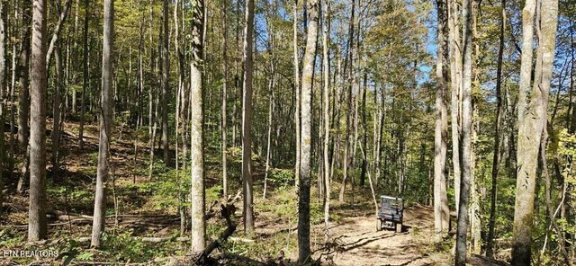 71.40AC Bunch Hollow Rd, New Tazewell, TN 37825 - photo 2