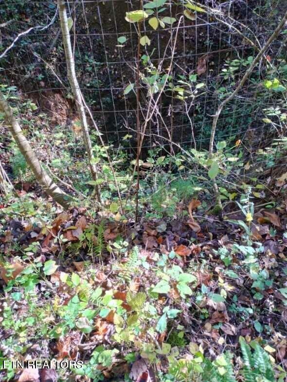 71.40AC Bunch Hollow Rd, New Tazewell, TN 37825 - photo 43