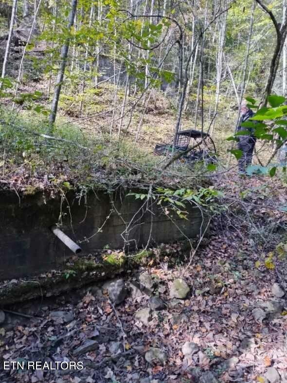 71.40AC Bunch Hollow Rd, New Tazewell, TN 37825 - photo 45