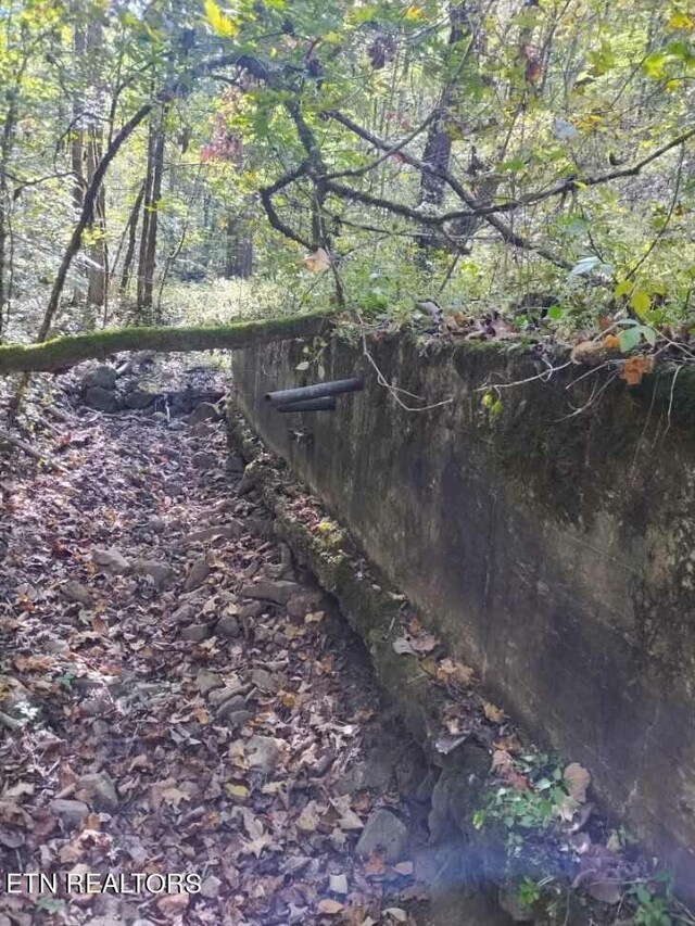 71.40AC Bunch Hollow Rd, New Tazewell, TN 37825 - photo 47