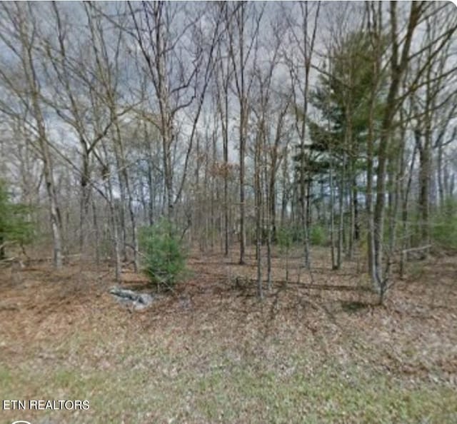 3041 Niska Dr, Crossville TN, 38572 land for sale