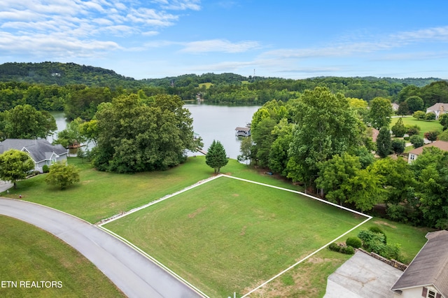 708 Wood Duck Dr, Vonore TN, 37885 land for sale