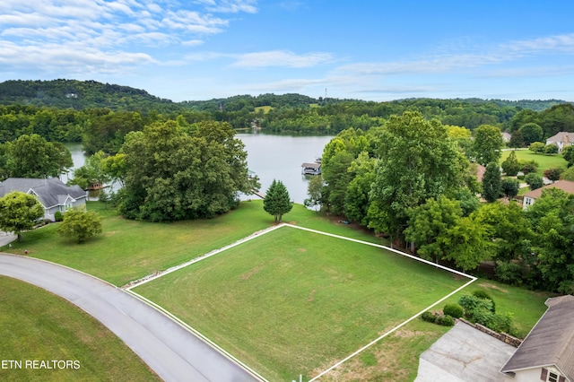 708 Wood Duck Dr, Vonore, TN 37885 - photo 3