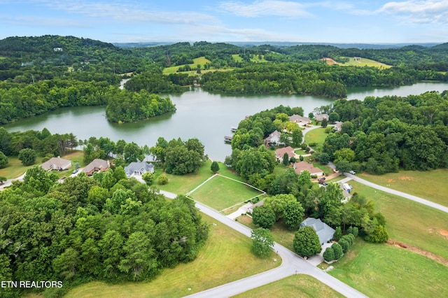708 Wood Duck Dr, Vonore, TN 37885 - photo 6