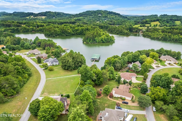 708 Wood Duck Dr, Vonore, TN 37885 - photo 1