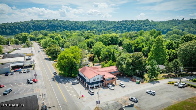 bird's eye view