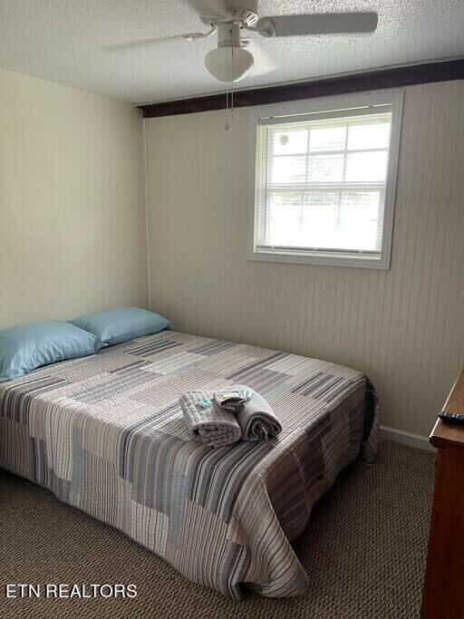 bedroom featuring carpet, ceiling fan, and a textured ceiling