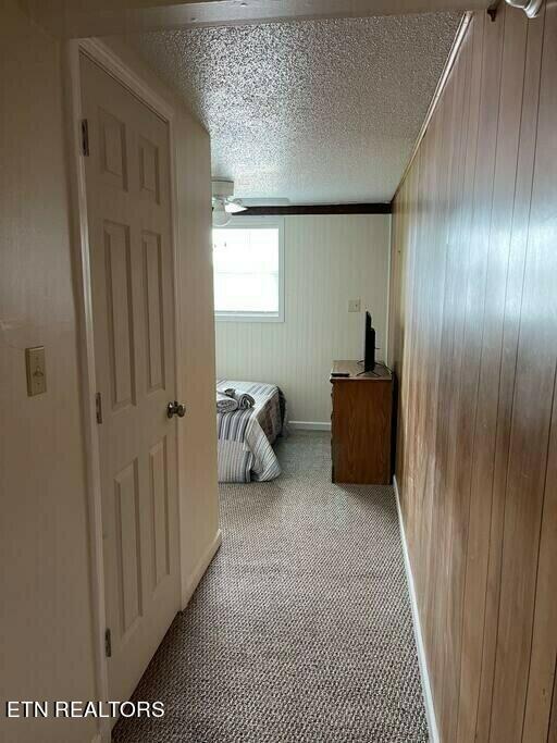 corridor featuring carpet and a textured ceiling