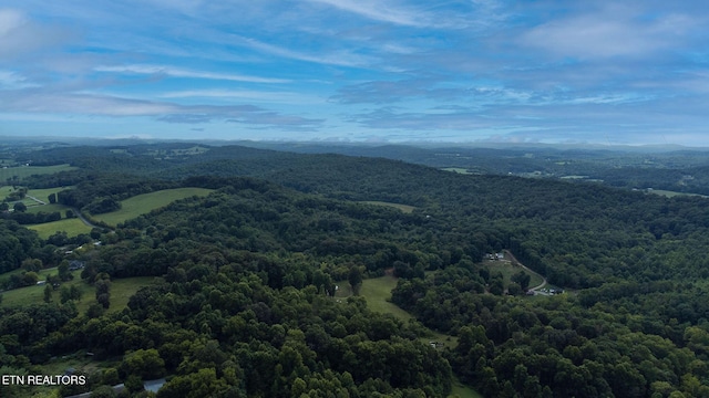 00 Bradshaw Hollow Rd, Loudon, TN 37774 - photo 3