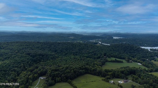00 Bradshaw Hollow Rd, Loudon, TN 37774 - photo 5