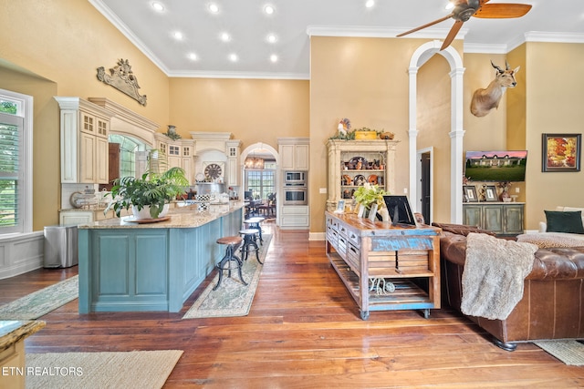 kitchen with ceiling fan, light wood-type flooring, light stone counters, appliances with stainless steel finishes, and a large island with sink