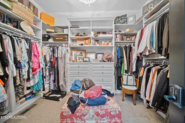 spacious closet with light colored carpet