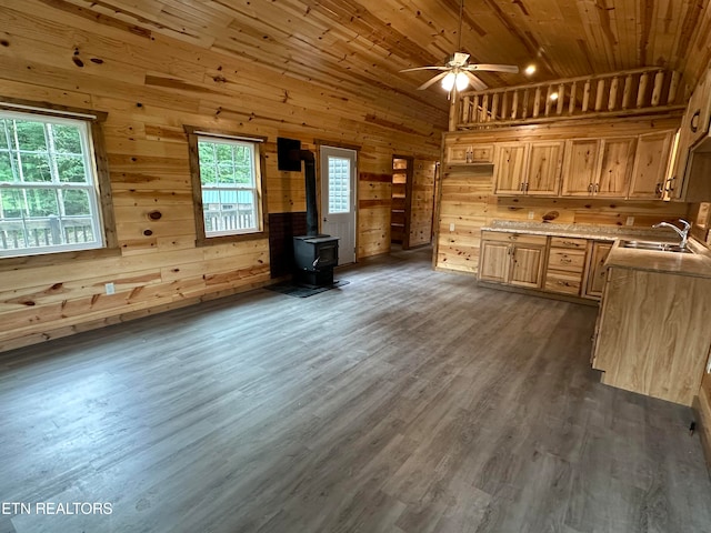 kitchen with wood walls, sink, dark hardwood / wood-style flooring, and a wood stove