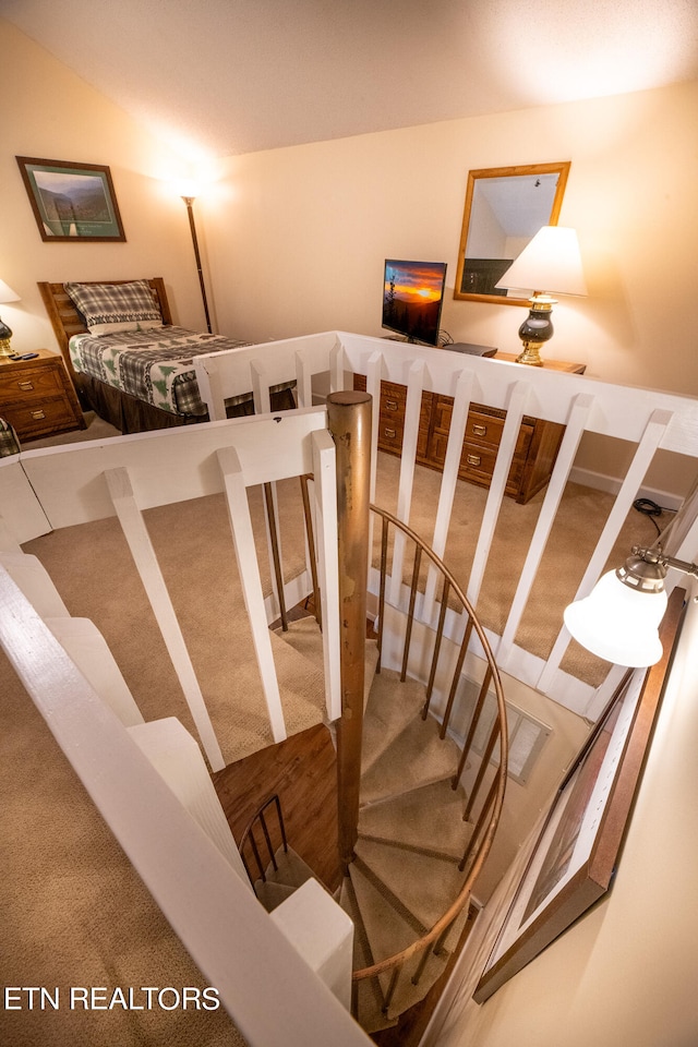 staircase featuring carpet flooring