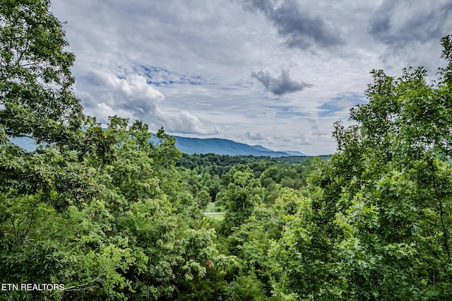 property view of mountains with a forest view