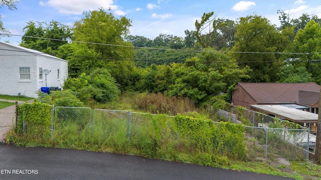 1408 Boruff St, Knoxville, TN 37917 - photo 2