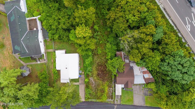 1408 Boruff St, Knoxville, TN 37917 - photo 4