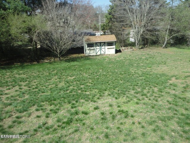 view of yard with a storage shed