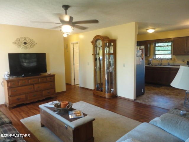 living room featuring ceiling fan, dark wood-type flooring, and sink