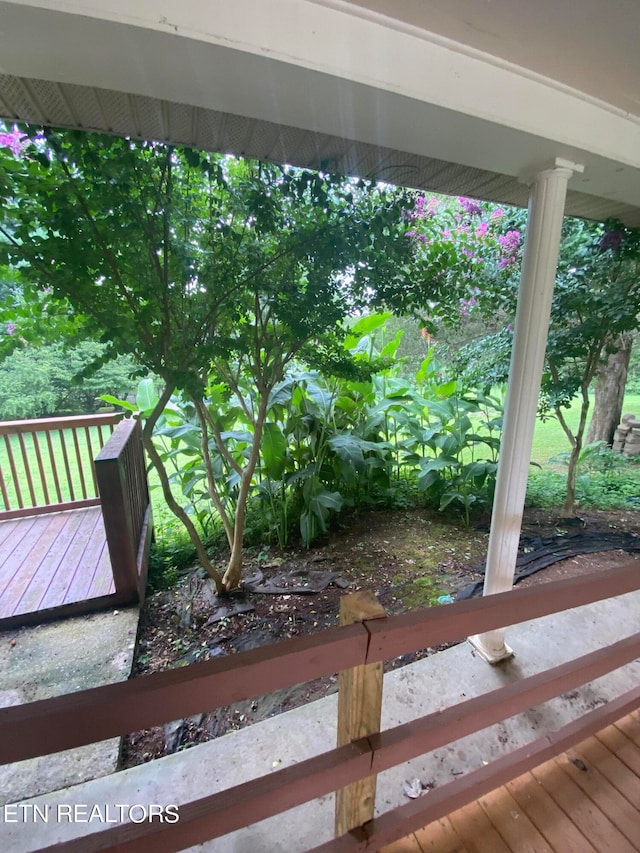 view of yard featuring a wooden deck