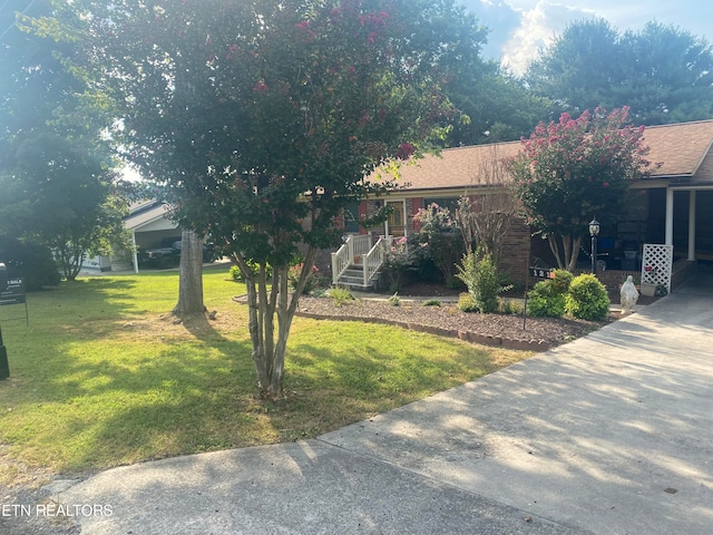 view of front of home with a front lawn