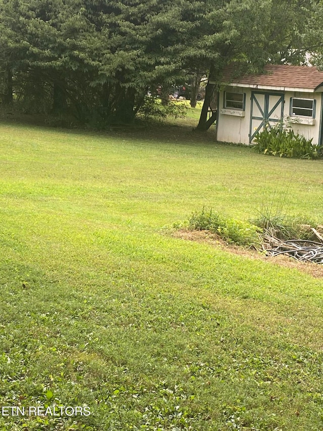 view of yard featuring a storage unit