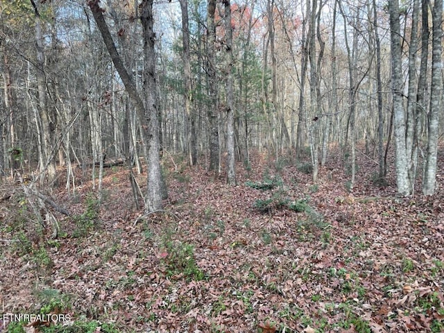240 Perkins Trl, Deer Lodge, TN 37726