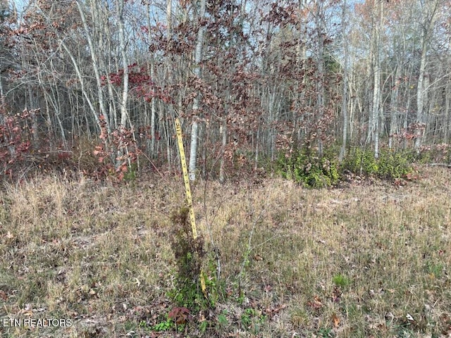 240 Perkins Trl, Deer Lodge, TN 37726