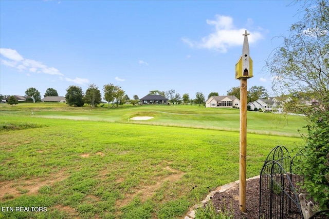 view of home's community with a yard