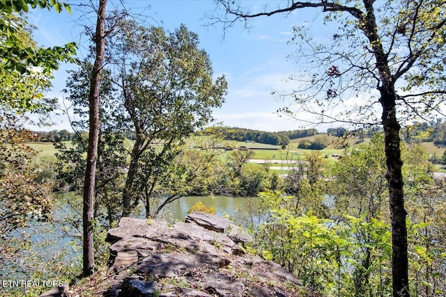 water view with a forest view