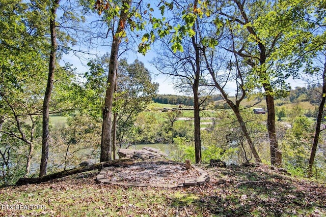 view of local wilderness