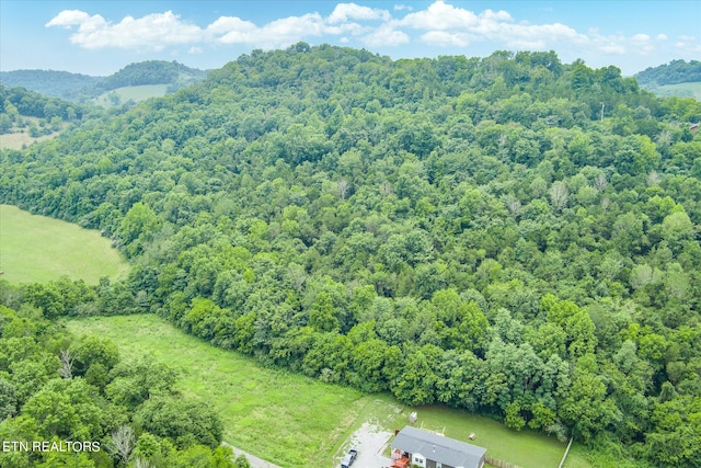 0 Hopkins Hollow Rd, Gainesboro TN, 38562 land for sale