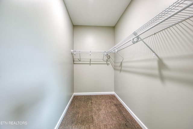 walk in closet with carpet