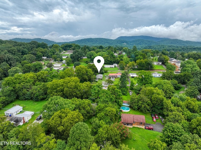 drone / aerial view featuring a mountain view