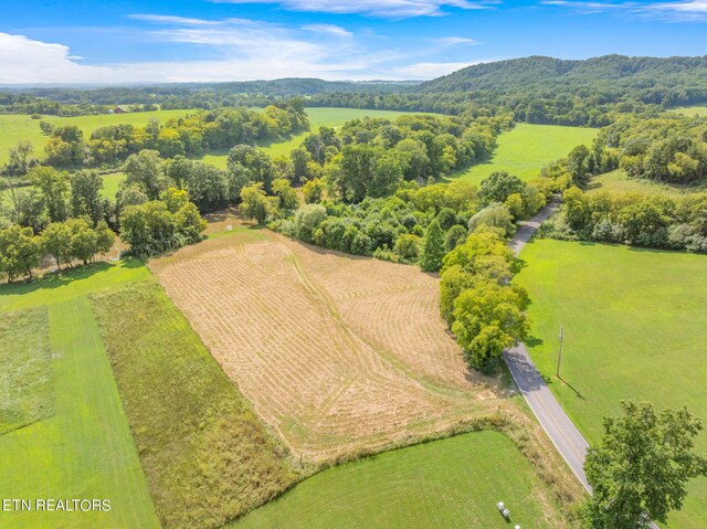 654 Martin Mill Pike, Rockford, TN 37853 - photo 6